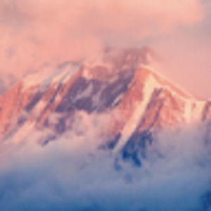 Meet your Posher, Jane